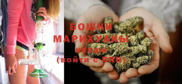 гидропоника Пересвет