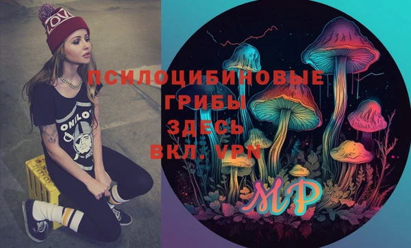 Альфа ПВП Пестово