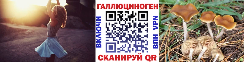 Псилоцибиновые грибы Psilocybine cubensis Кумертау