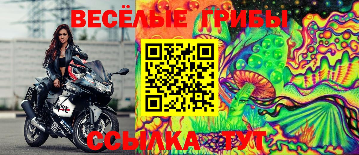 Галлюциногенные грибы прущие грибы  Вход с VPN  Кумертау 